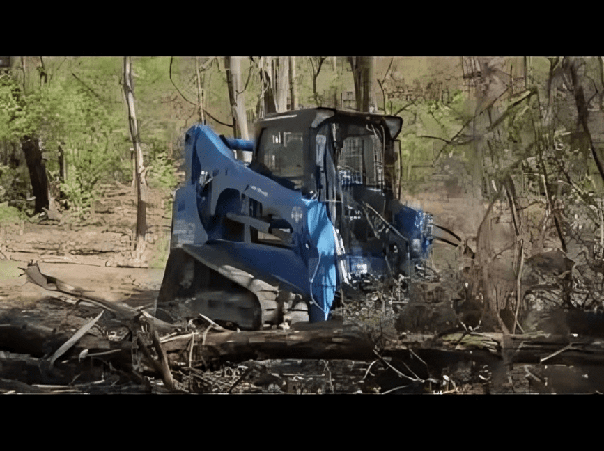 Heavy machinery in forest clearing